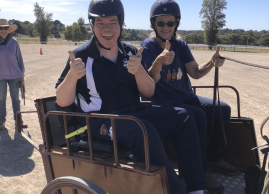 Carriage Driving - RDA Victoria-min